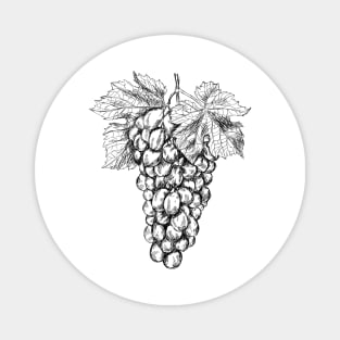 Grapes image Magnet